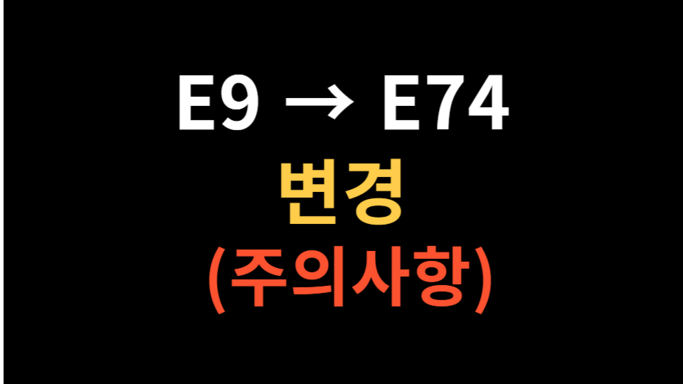E74비자