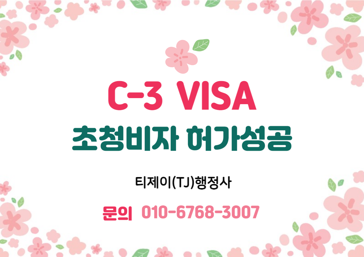 C3비자-허가성공